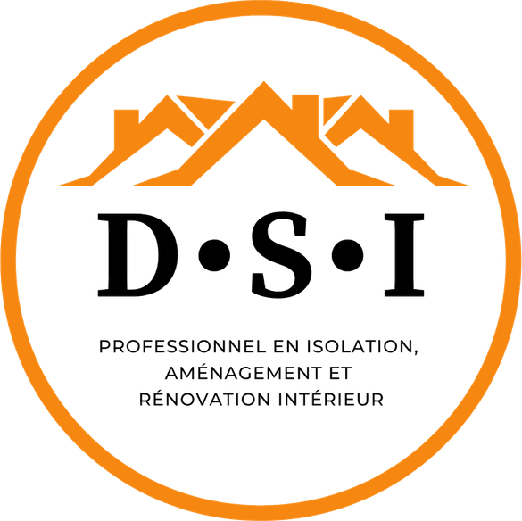 D.S.I-logo