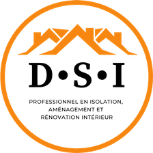 D.S.I-logo